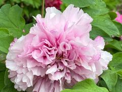 -江南大学(蠡湖校区)