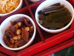 -食家鸽园