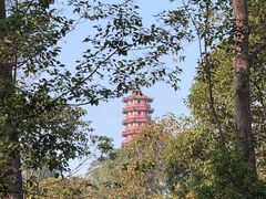 -大雁山风景区