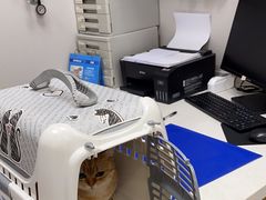 -瑞鹏宠物医院·微创内窥镜·骨外科·牙科(翠竹分院)