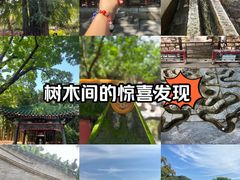 -潭柘寺景区