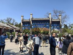 -蓬莱仙岛