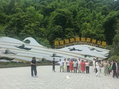 -西双版纳原始森林公园