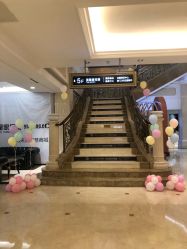 -派对猴生日派对策划