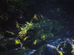 -神龙峡风景区