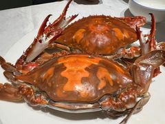 -北塘海鲜·天津菜(大光明桥旗舰店)