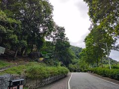 -火炉山森林公园