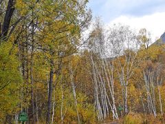 -洮儿河国家湿地公园