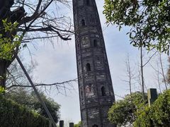 -上海佘山国家森林公园天马山园