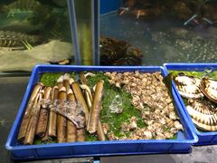 -辉记炭烧海鲜大排档·老字号(福田店)