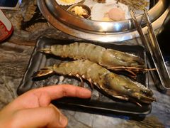 -熊出没日本烧肉放题