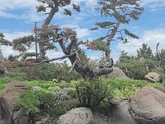 -罗红摄影艺术馆