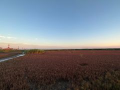 -红海滩国家风景廊道