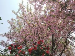 -花溪公园