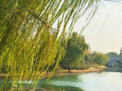 -尚贤河湿地