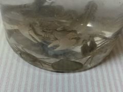 -东疆建设开发纪念公园