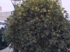 -合肥火车站(地铁站)