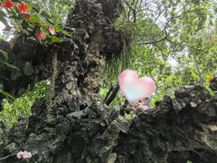 -广州兰圃