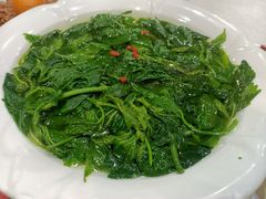 -优之名鹅城