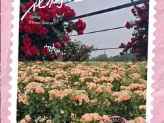 -嘉北郊野公园