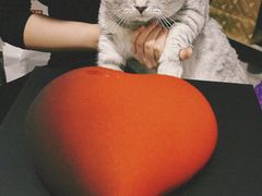 -慕叁山(青岛店)