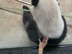-杭州动物园