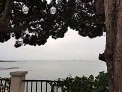 -如花大师咖啡·