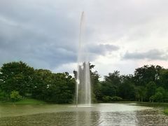 -中国科学院西双版纳热带植物园