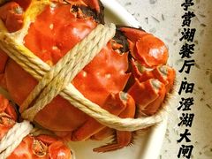 -七的湖·晚芳亭·阳澄湖农家菜·大闸蟹(莲花岛店)