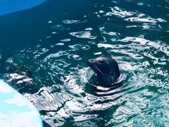 -石家庄市动物园