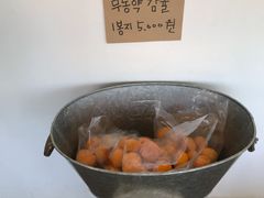 -柑橘农场