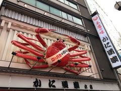 -蟹道乐(道顿堀本店)