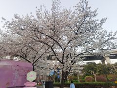 -南浦大桥长途旅游客运站
