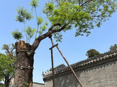 -保定直隶总督署博物馆
