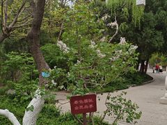 -佛慧山