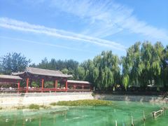 -尚庄度假村·庭台树下·户外烧烤·团建CS·轰趴营地(上庄水库店)