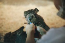 -酷嗒动物文化乐园(cutezoo西溪乐天城店)