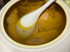 -泰康之家·申园