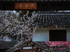 -杭州植物园
