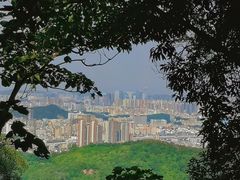 -阳台山森林公园