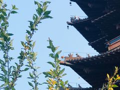 -杭州半山国家森林公园