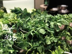-多迷烫菜广场(水心大厦店)