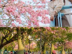 -广东圆玄道观