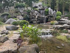 -东莞植物园