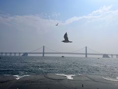 -星海广场