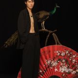 成都写真|与孔雀的第一次合影