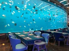 大堂-瑞德姆美人鱼海底演艺主题餐厅(亚龙湾店)