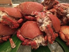 -北京希尔顿逸林酒店-逸轩西餐厅-自助餐厅