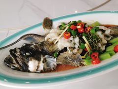 -馨越楼·点心·粤菜(赤坎店)