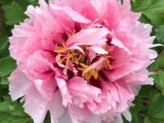 -合肥三国新城遗址公园